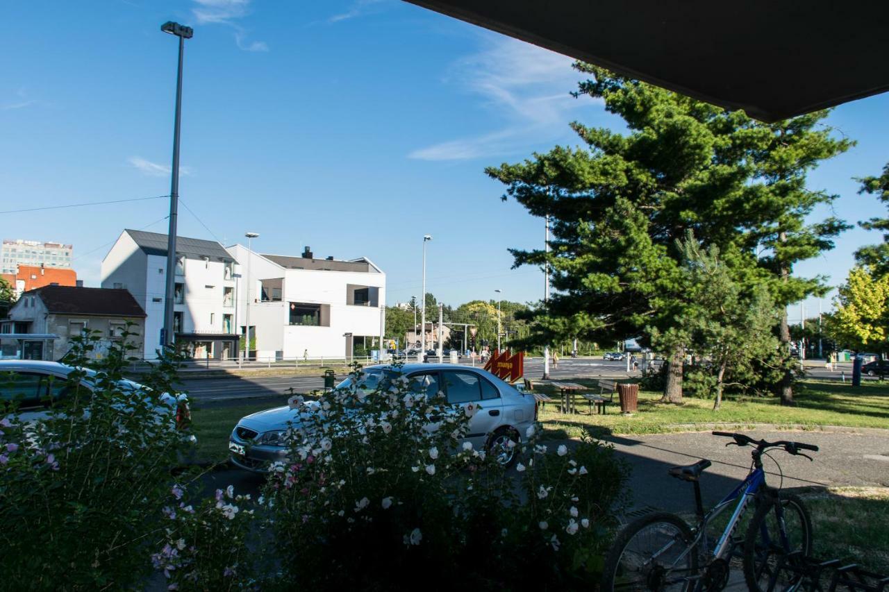 Apartment Borko *